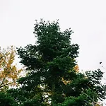 Elati Oreini Korinthia Вилла *