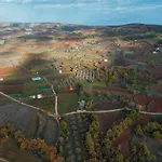 Elati Oreini Korinthia Velina