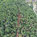 Elati Oreini Korinthia Вилла Velina