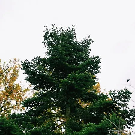 Elati Oreini Korinthia Вилла *