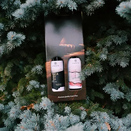 Elati Oreini Korinthia ヴィラ Velina