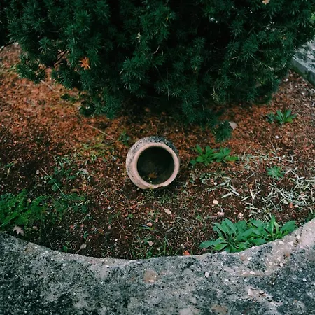 Elati Oreini Korinthia