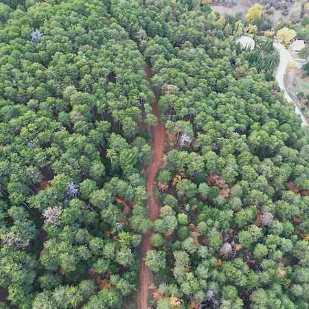 Elati Oreini Korinthia Вилла Velina