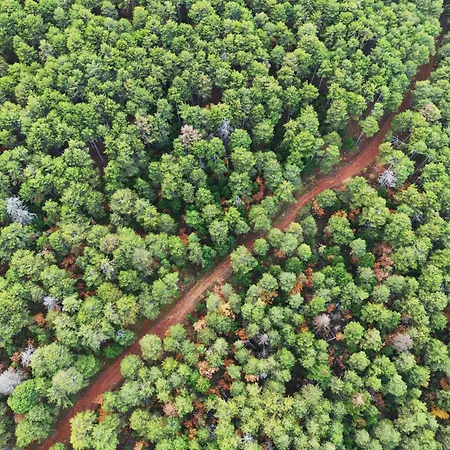 ヴィラ Elati Oreini Korinthia *