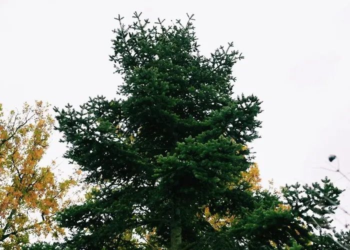 Elati Oreini Korinthia Villa *