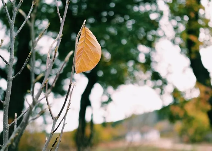 Elati Oreini Korinthia Villa Velina