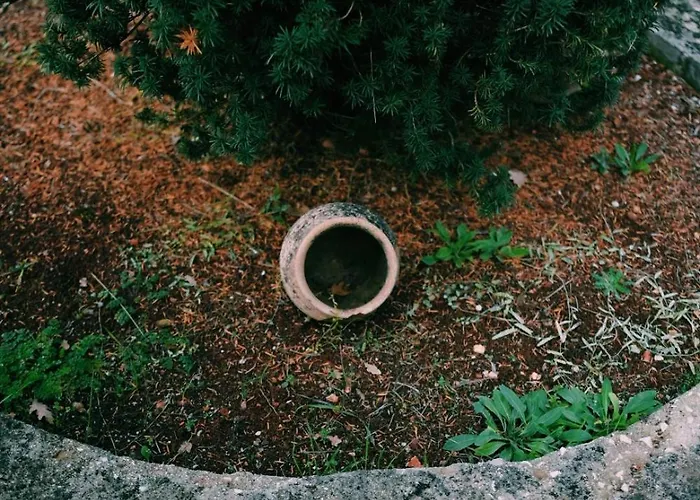 Elati Oreini Korinthia