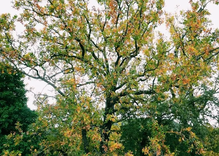 Elati Oreini Korinthia Villa Velina