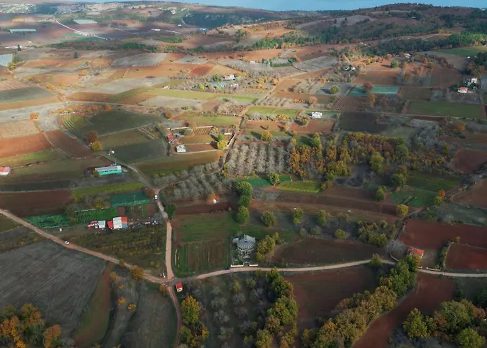 Elati Oreini Korinthia Velina