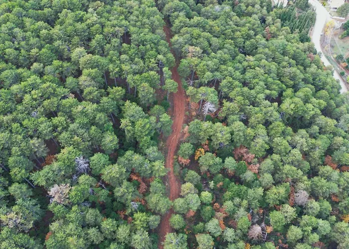Elati Oreini Korinthia וילה Velina