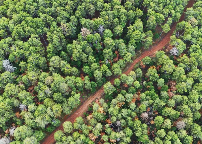 וילה Elati Oreini Korinthia *